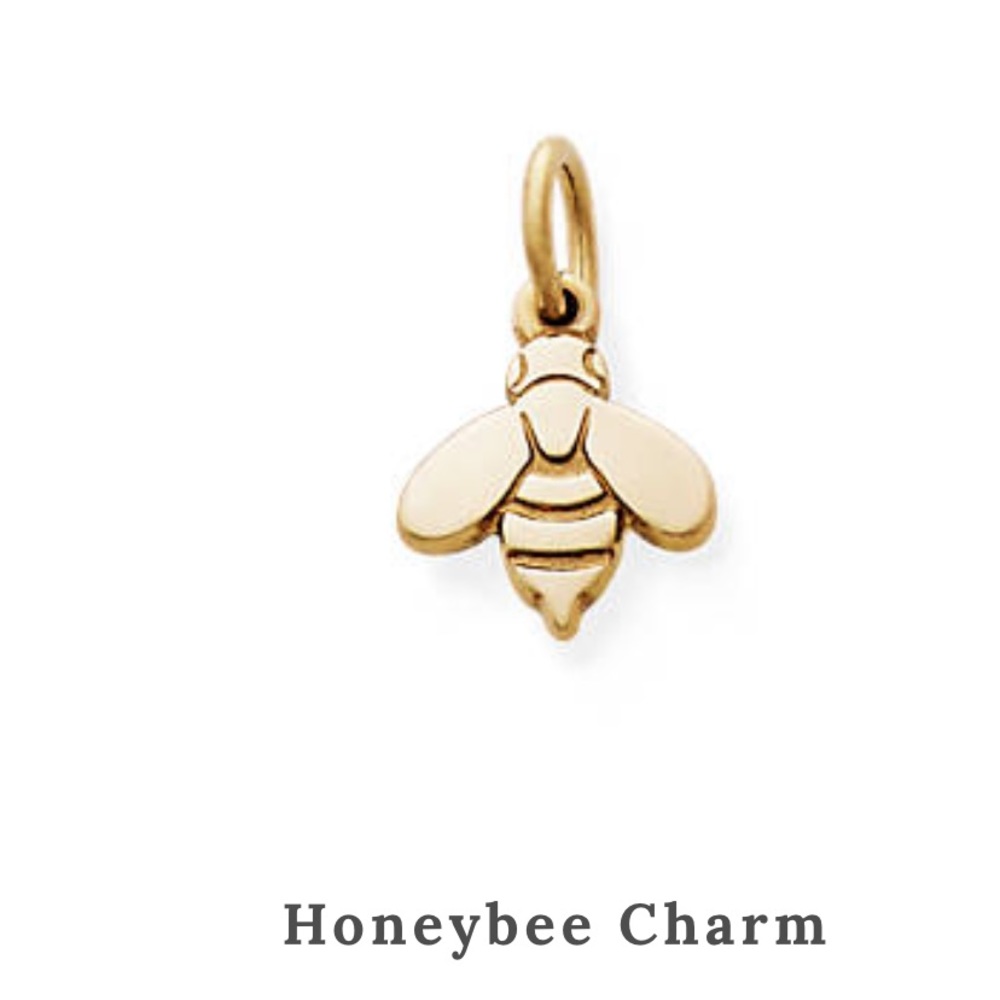 Authentic 14k James Avery Honeybee Charm NIB